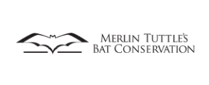 Merlin Tutles Client